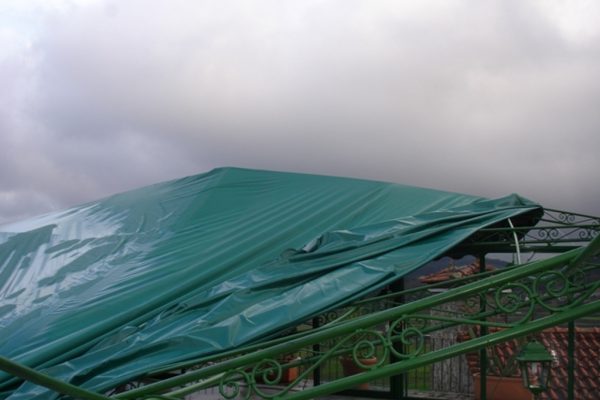 foto1 (6)